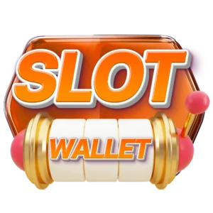 Slot wallet22